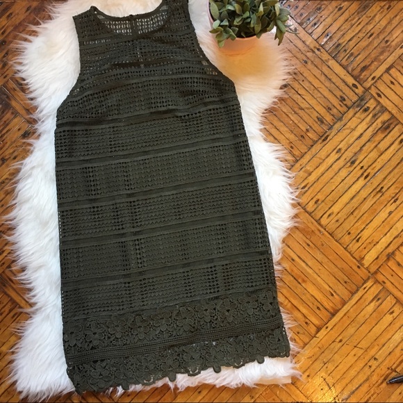 Abercrombie & Fitch Dresses & Skirts - Abercrombie and Fitch Olive Green Lace Shift Dress